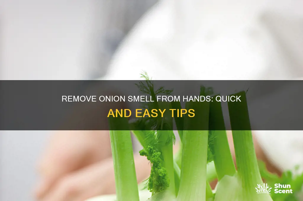 how to get onion scent off hands