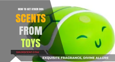 Effective Ways to Infuse Dog Toys with New and Exciting Scents