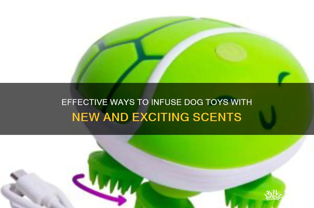 how to get other dog scents from toys