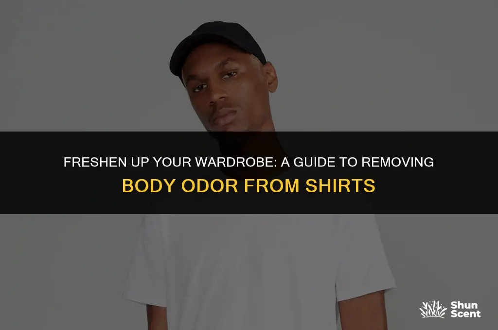 how to get out body odor from shirts