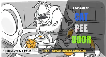 Effective Tips to Eliminate Cat Pee Odor from Your Home