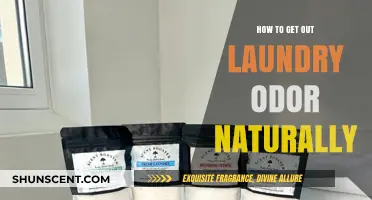 Freshen Up Your Laundry: Natural Odor-Busting Tips and Tricks