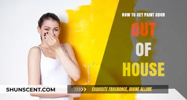 Freshen Your Home: Effective Ways to Eliminate Paint Odor