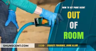 Quick Tips to Eliminate Paint Smell from Your Room Fast
