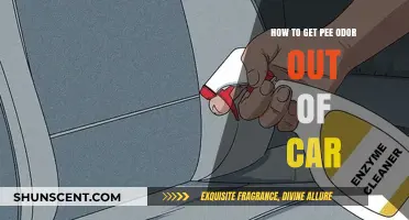 Eliminating Pee Odor from Your Car: A Comprehensive Guide