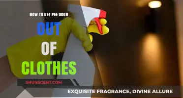 Freshen Up: Effective Tips to Remove Pee Odor from Clothes