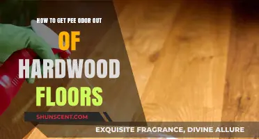 Effective Methods to Eliminate Pet Odor from Hardwood Floors