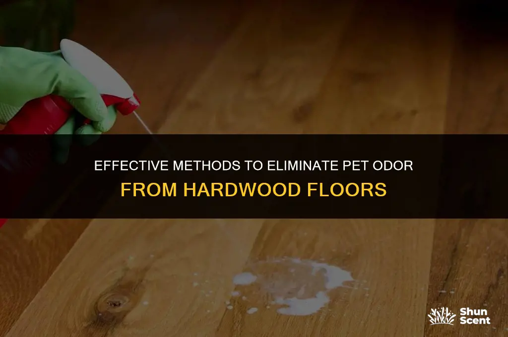 how to get pee odor out of hardwood floors