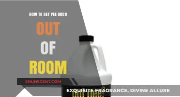 Freshen Up: Effective Tips to Eliminate Pee Odor from Any Room