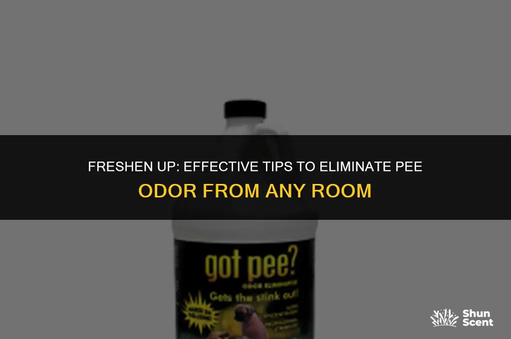 how to get pee odor out of room