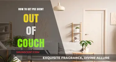 Effective Tips to Remove Urine Smell from Your Couch Fast