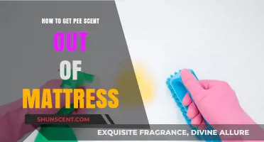 Effective Ways to Remove Urine Smell from Your Mattress