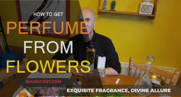 Extracting Fragrance: Flowers to Perfume