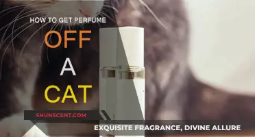 Removing Perfume from Cats: A Step-by-Step Guide