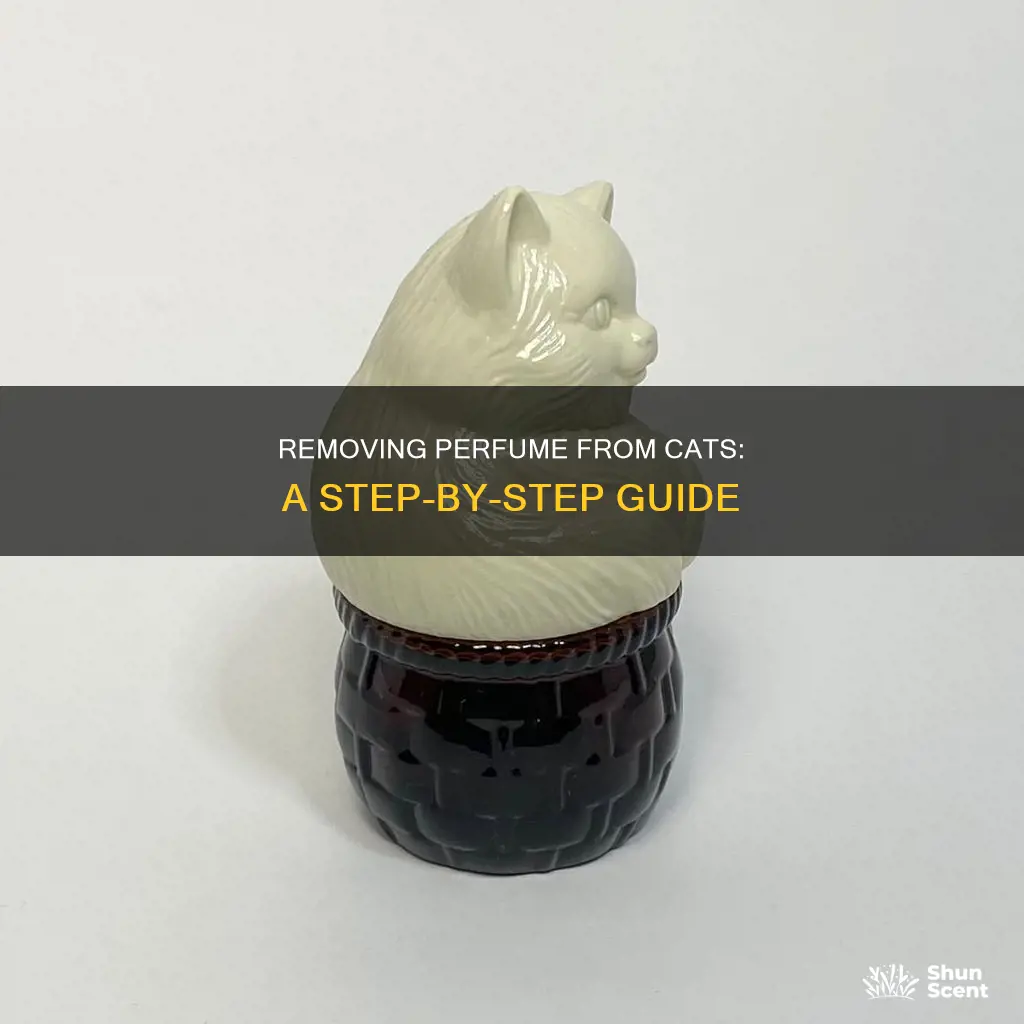 how to get perfume off a cat