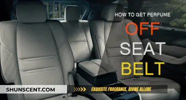 Removing Perfume Stains from Your Seat Belt