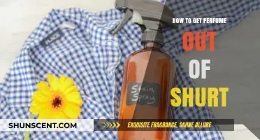 Easy Ways to Remove Perfume Stains from Your Shirt