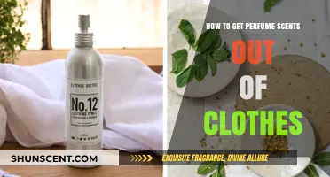 Effective Tips to Remove Lingering Perfume Scents from Your Clothes