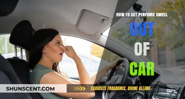 Eliminating Lingering Fragrance: Freshen Your Car's Air