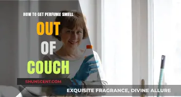 Easy Ways to Remove Perfume Stains from Your Couch