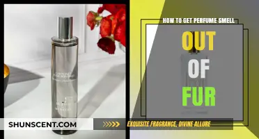 Removing Perfume Scents from Fur: A Quick Guide