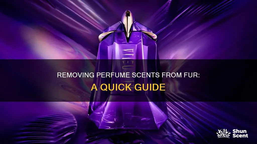 how to get perfume smell out of fur