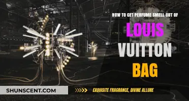Perfume Scents Lingering on Your LV Bag? Here's the Fix