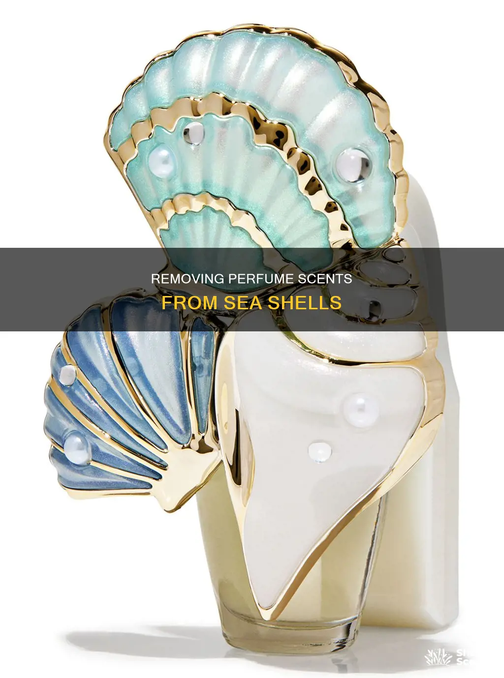 how to get perfume smell out of sea shells