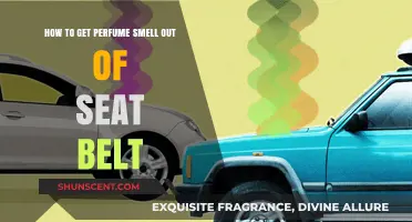 Removing Stubborn Perfume Scents from Seat Belts