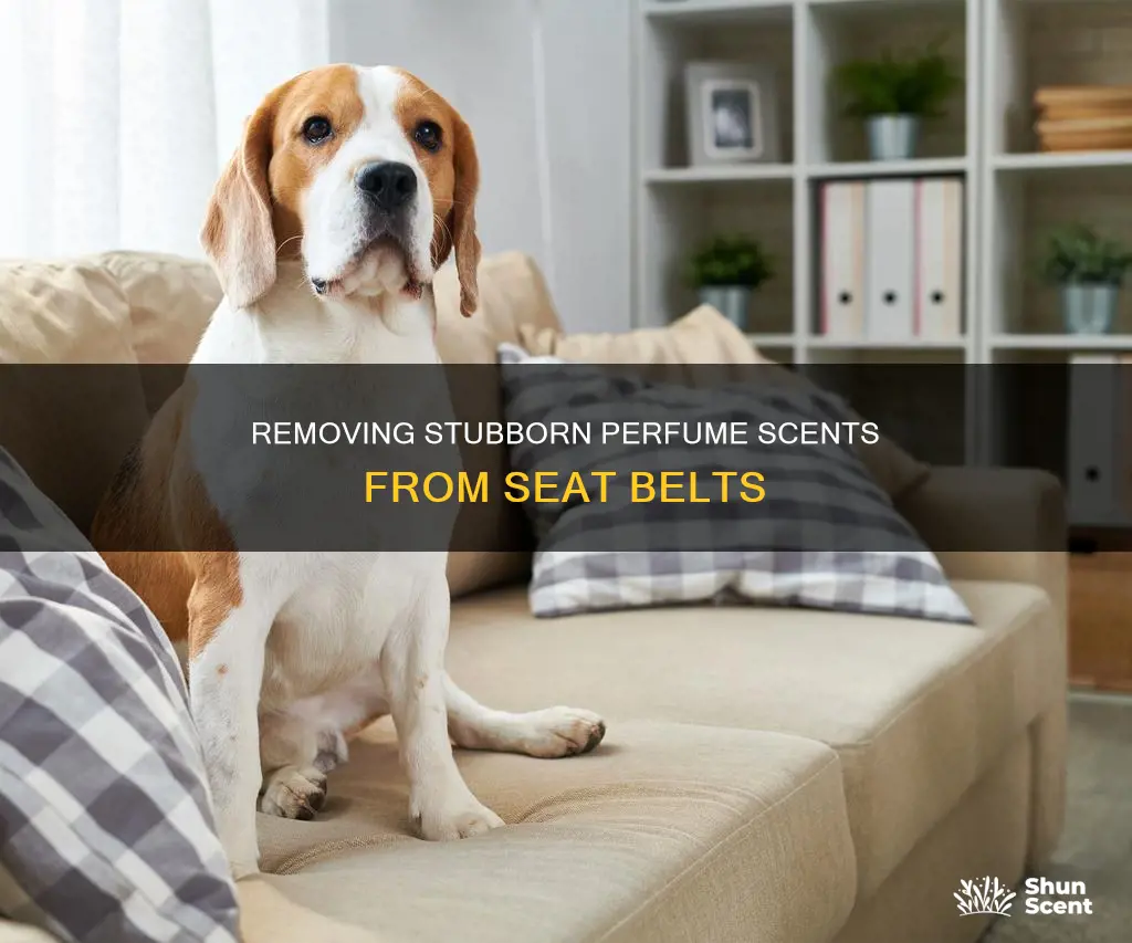 how to get perfume smell out of seat belt