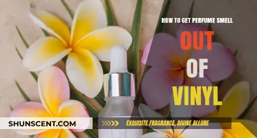 Remove Perfume Stains from Vinyl: Quick and Easy Guide