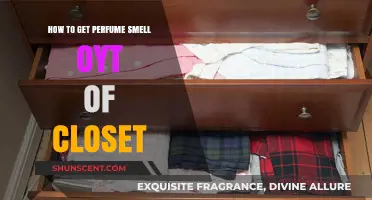Removing Lingering Perfume Scents from Your Closet