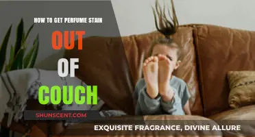 Easy Hacks to Remove Perfume Stains from Your Couch