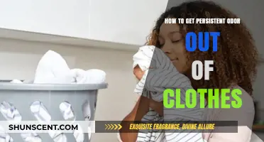 Banish Lingering Smells: A Guide to Odor-Free Laundry
