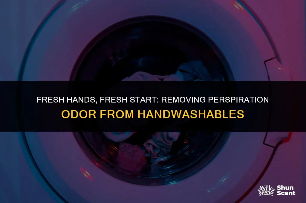 how to get perspiration odor out of handwashable