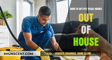 Banishing Pet Odors: A Comprehensive Guide to a Fresh-Smelling Home