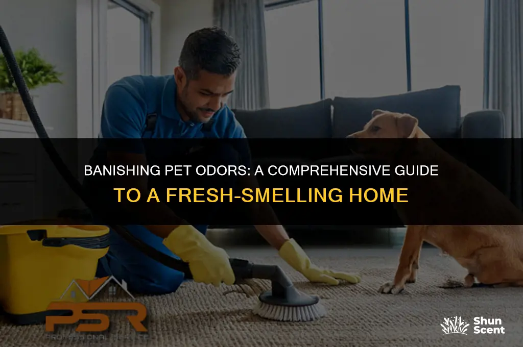 how to get pet fecal odors out of house