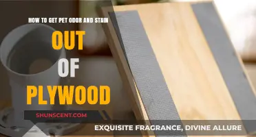 Eliminating Pet Odor and Stains from Plywood: A Comprehensive Guide