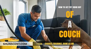Freshen Up Your Home: Effective Tips to Remove Pet Odor from Your Couch