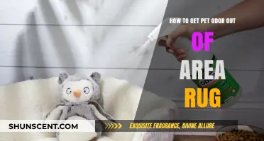 Freshen Up Your Home: Effective Tips to Remove Pet Odor from Area Rugs