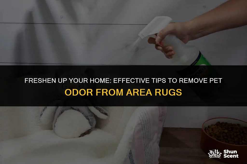 how to get pet odor out of area rug