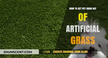 Freshen Up Your Turf: Removing Pet Odors from Artificial Grass
