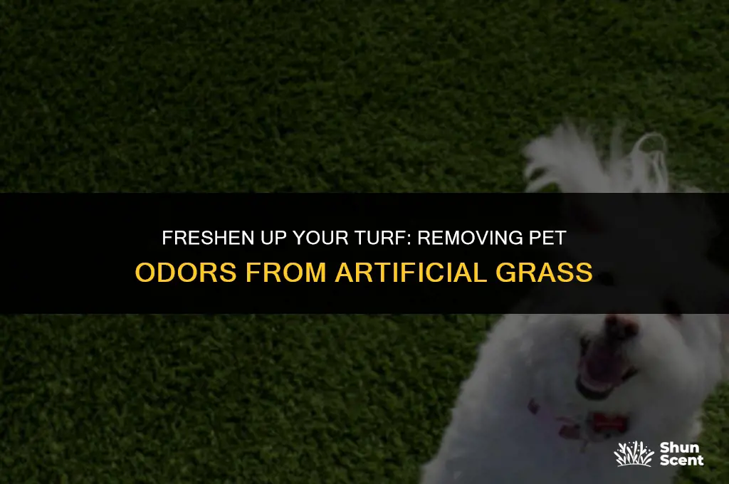 how to get pet odor out of artificial grass