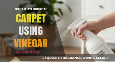 Vinegar's Power: Eliminating Pet Odors from Carpets Naturally