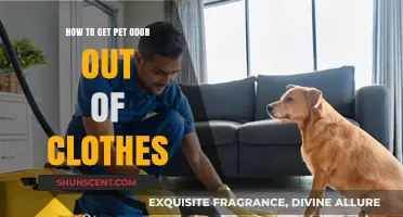 Freshen Up Your Wardrobe: Removing Pet Odors from Clothes