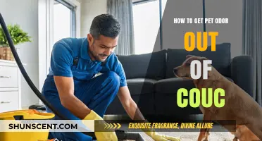 Freshen Up Your Space: Effective Tips to Eliminate Pet Odor from Your Couch