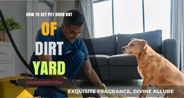 Freshen Up Your Yard: A Guide to Removing Pet Odor from Dirt