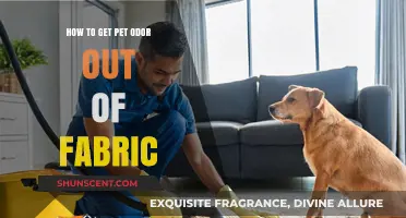 Freshen Up Your Fabrics: A Guide to Removing Pet Odors
