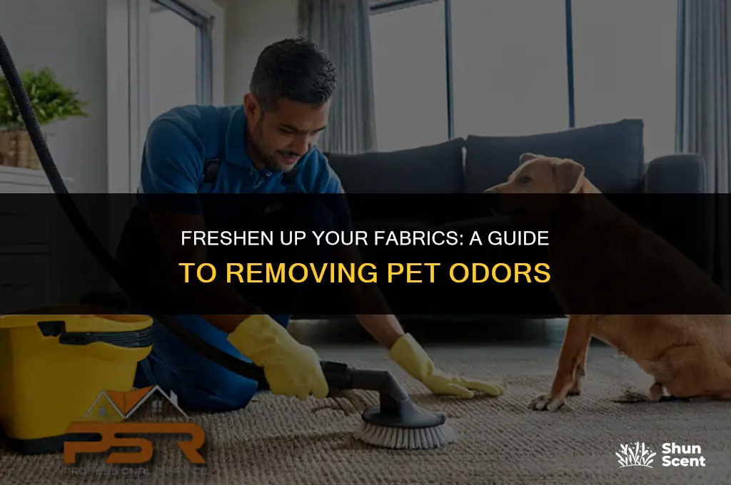 how to get pet odor out of fabric