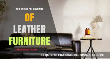 Freshen Up Your Leather Furniture: A Guide to Removing Pet Odors